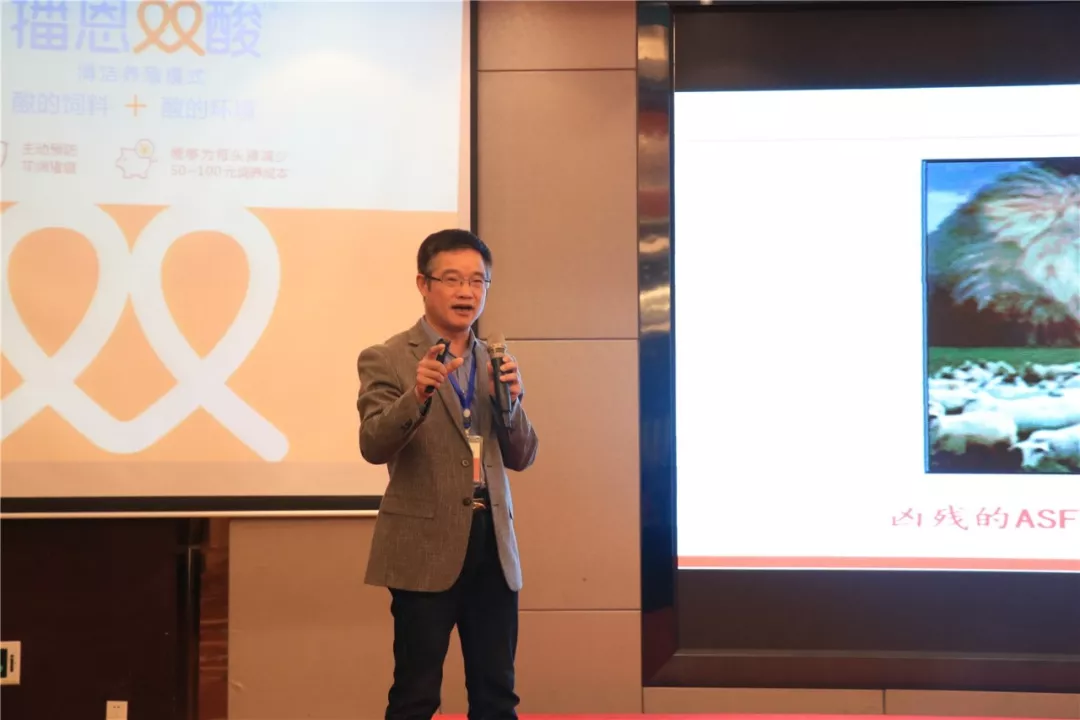 问鼎娱乐app(中国)官网下载入口