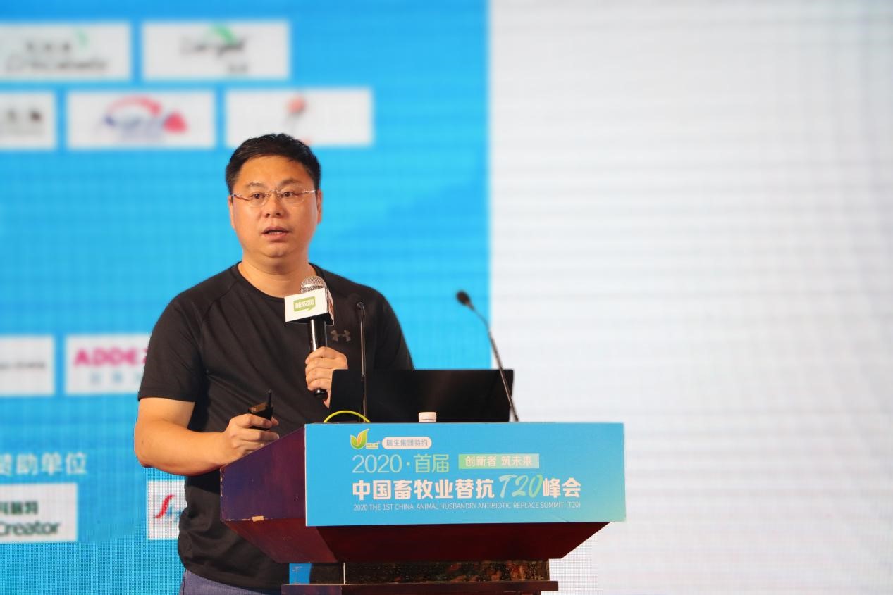 问鼎娱乐app(中国)官网下载入口