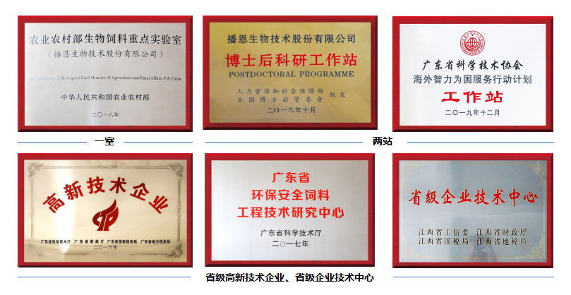 问鼎娱乐app(中国)官网下载入口