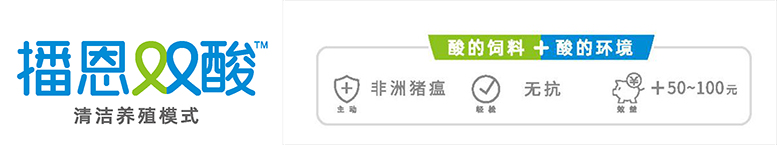 图片14