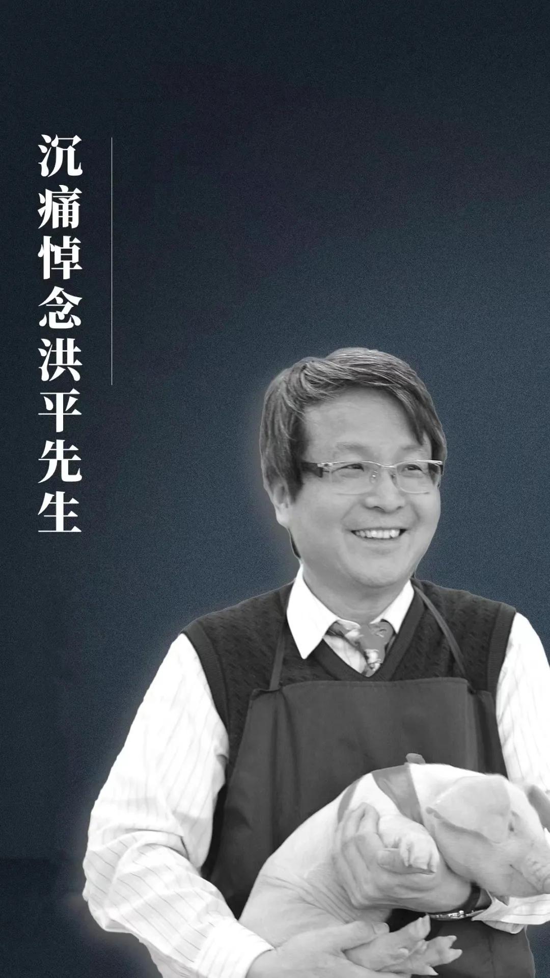问鼎娱乐app(中国)官网下载入口